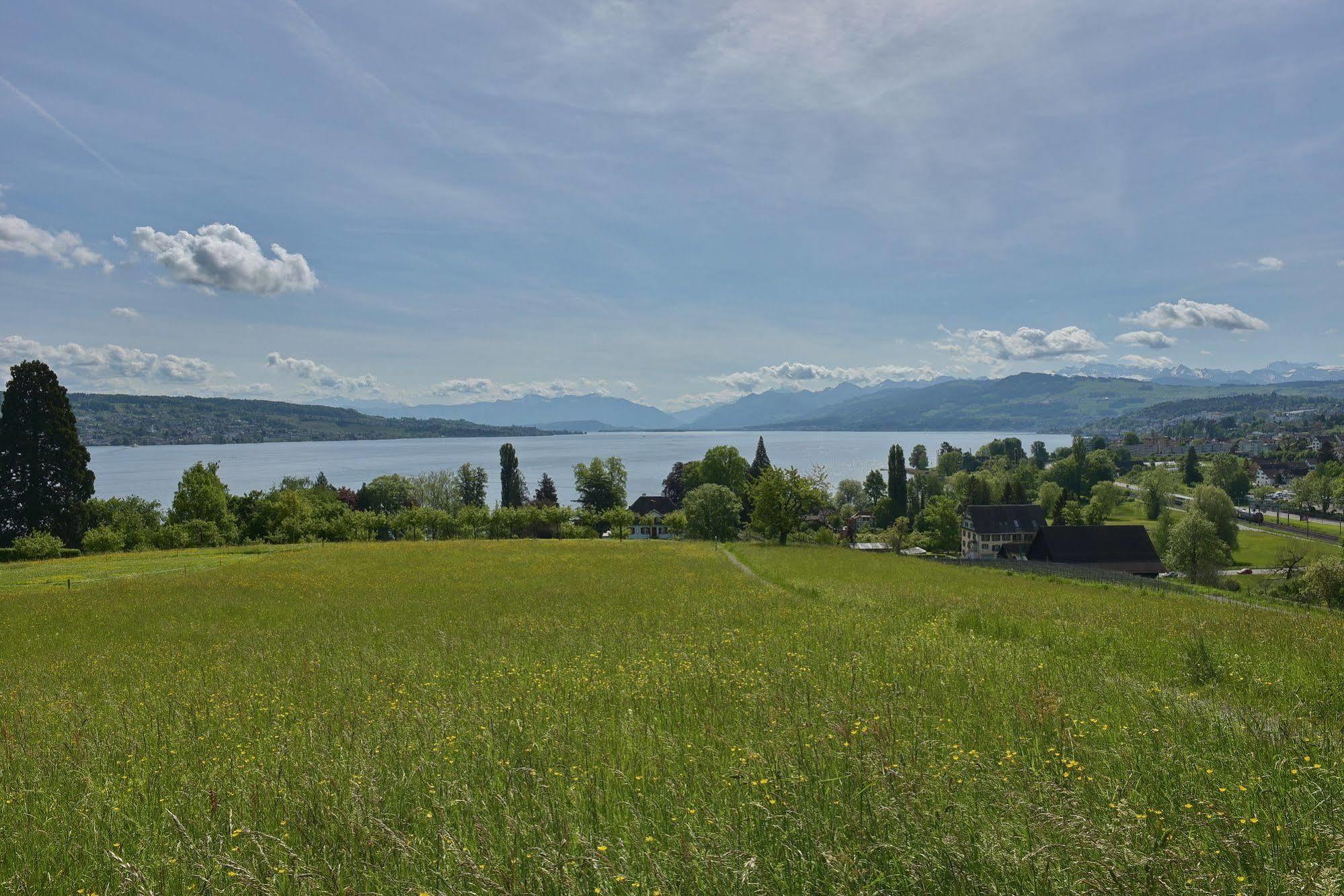 Landgasthof Halbinsel Au Hotel Wädenswil Exterior foto